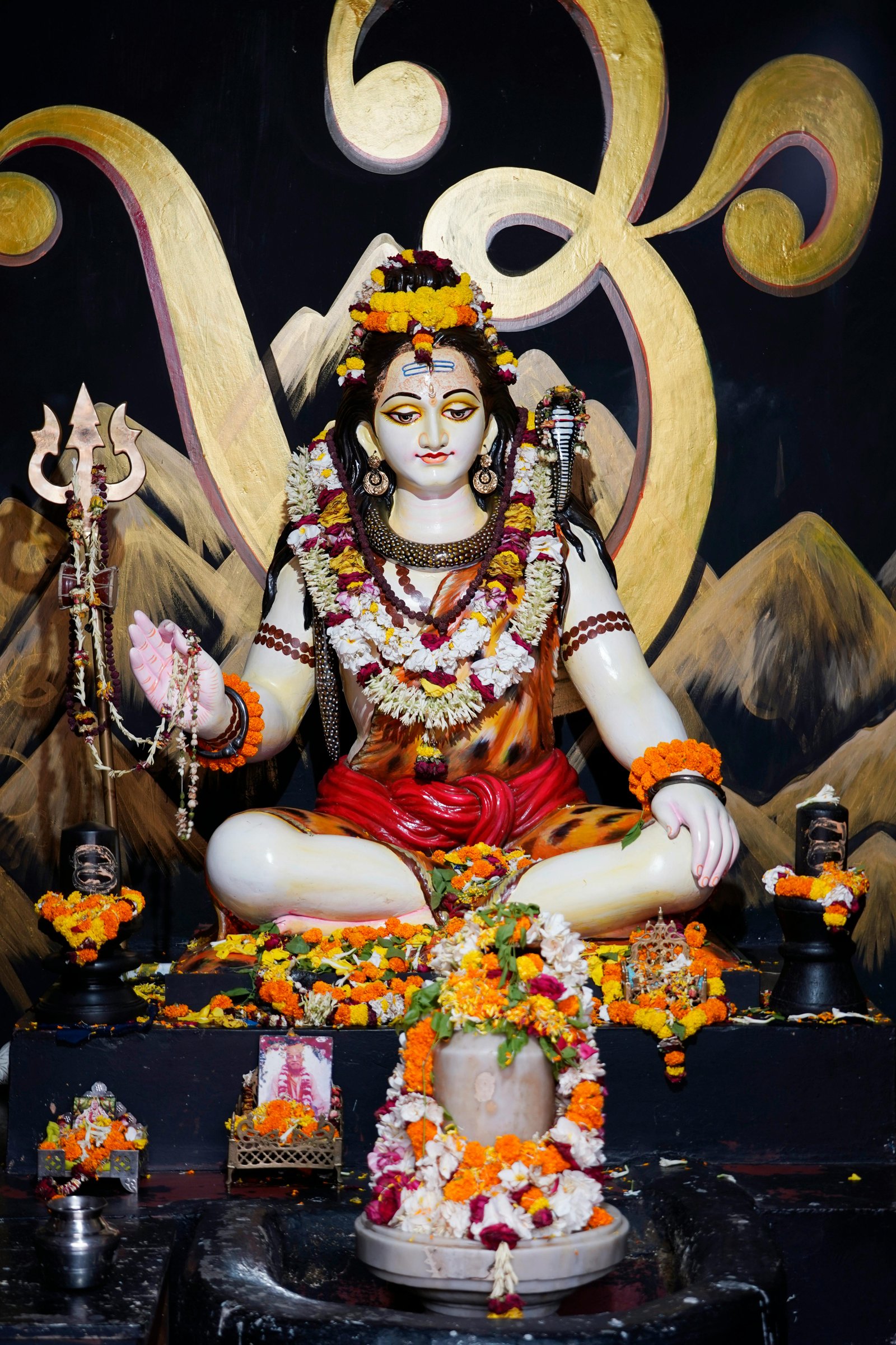 Shiva Karma and Dosha Remedy Consultation